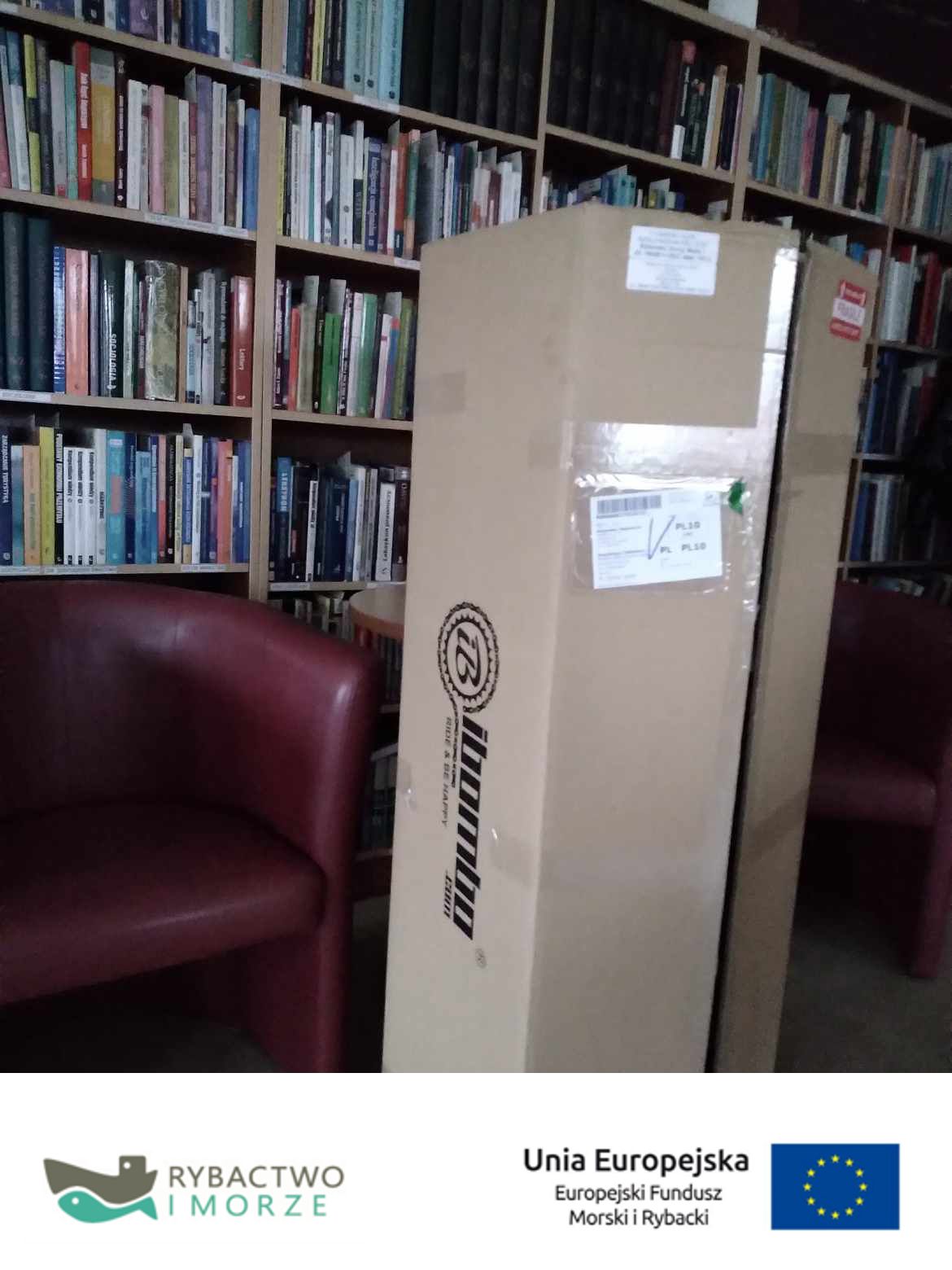 429812930 233376166531778 5509765580620086808 n